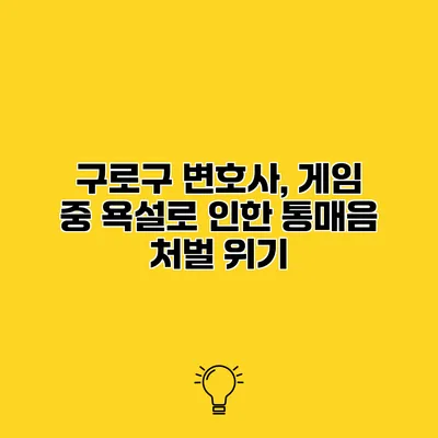 구로구 변호사, 게임 중 욕설로 인한 통매음 처벌 위기
