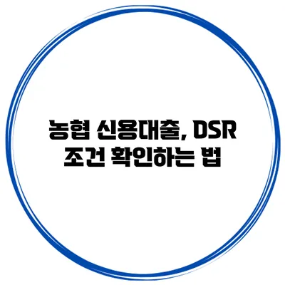 농협 신용대출, DSR 조건 확인하는 법