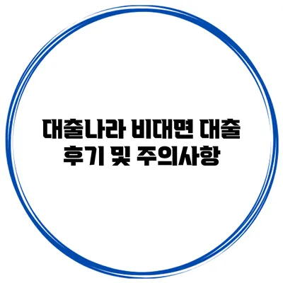 대출나라 비대면 대출 후기 및 주의사항