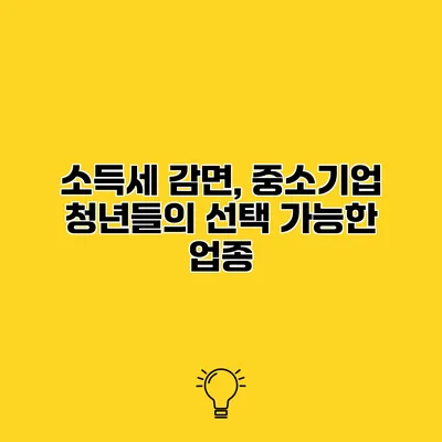 소득세 감면, 중소기업 청년들의 선택 가능한 업종