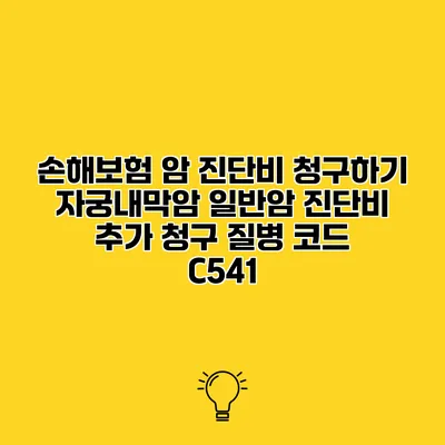 손해보험 암 진단비 청구하기 자궁내막암 일반암 진단비 추가 청구 질병 코드 C541
