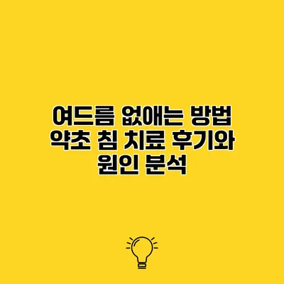 여드름 없애는 방법 약초 침 치료 후기와 원인 분석