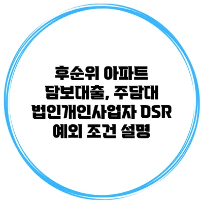 후순위 아파트 담보대출, 주담대 법인개인사업자 DSR 예외 조건 설명